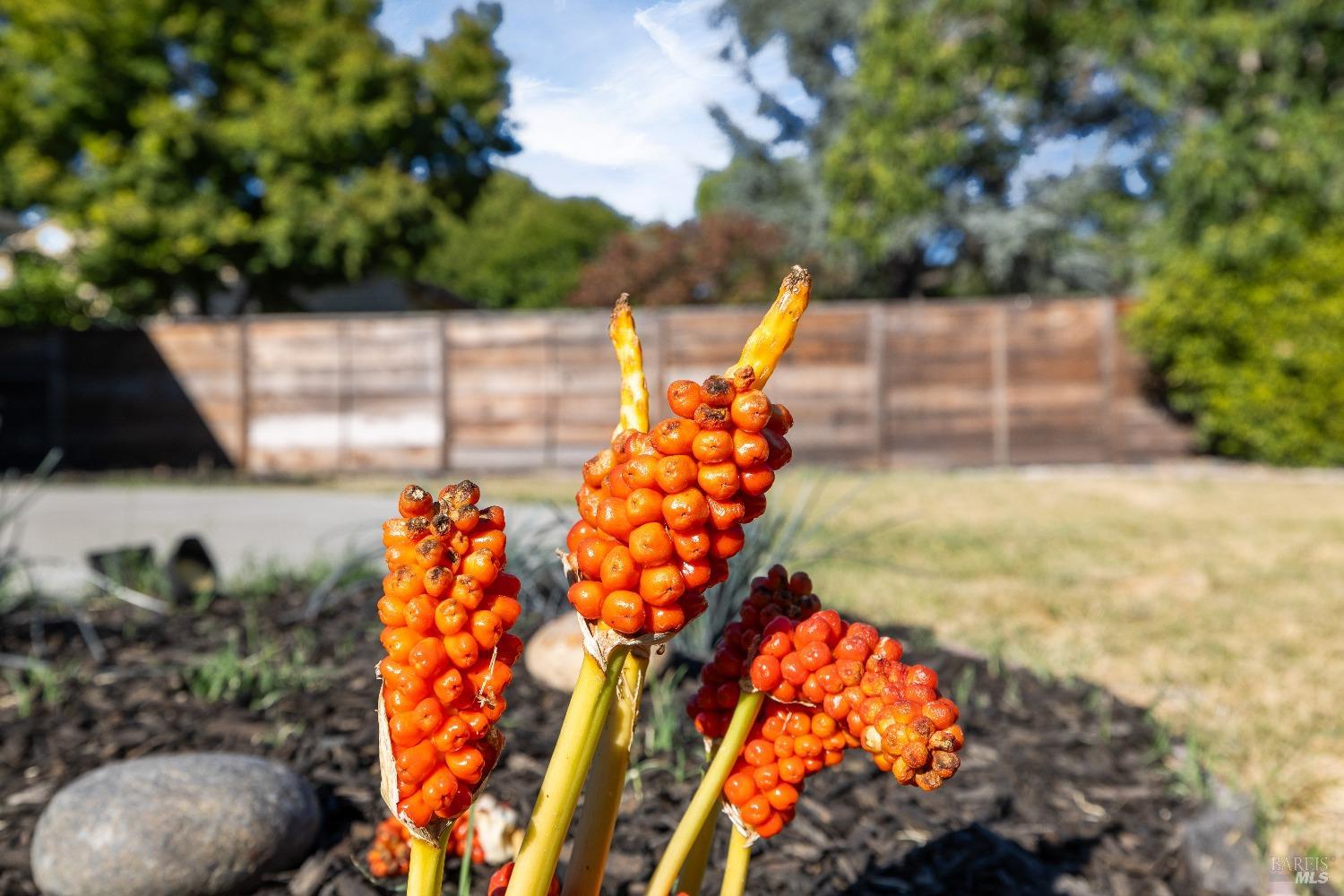 2808 Spring Creek Drive