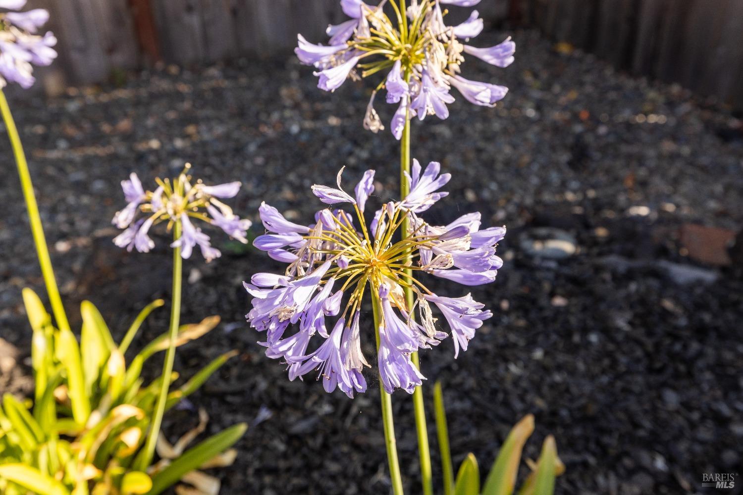 2808 Spring Creek Drive