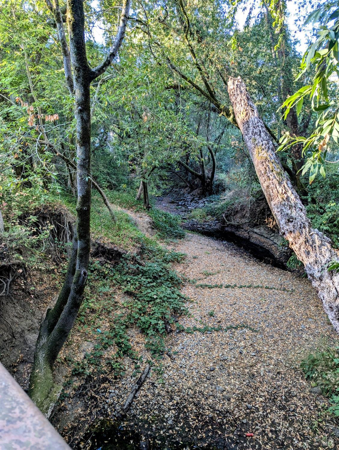 729 Rosemary Clooney Court