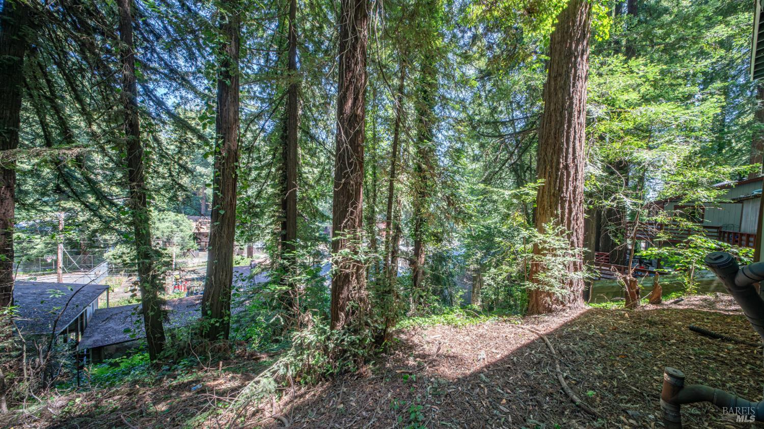14708 Eagle Nest Lane