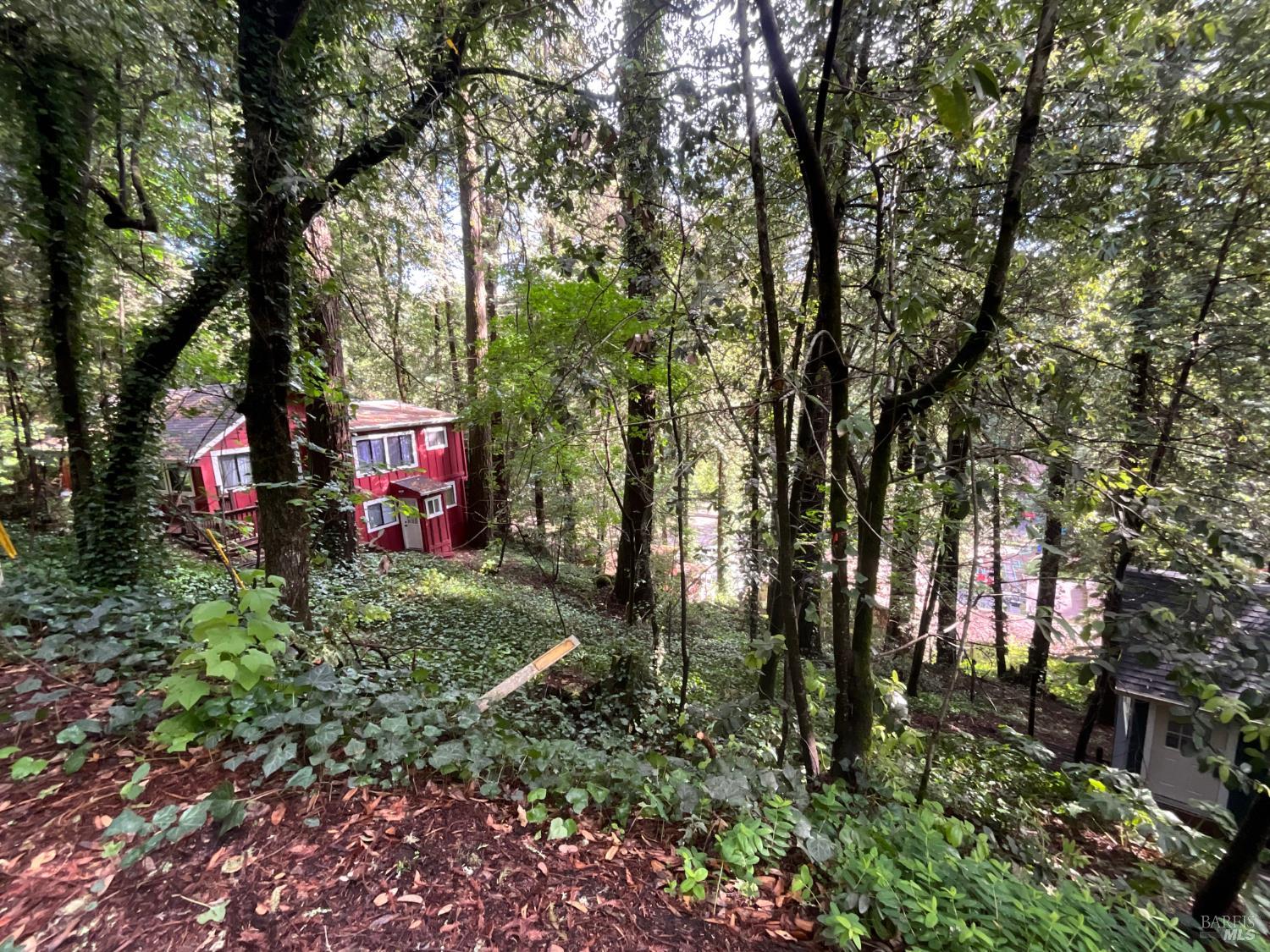 14712 Eagle Nest Lane