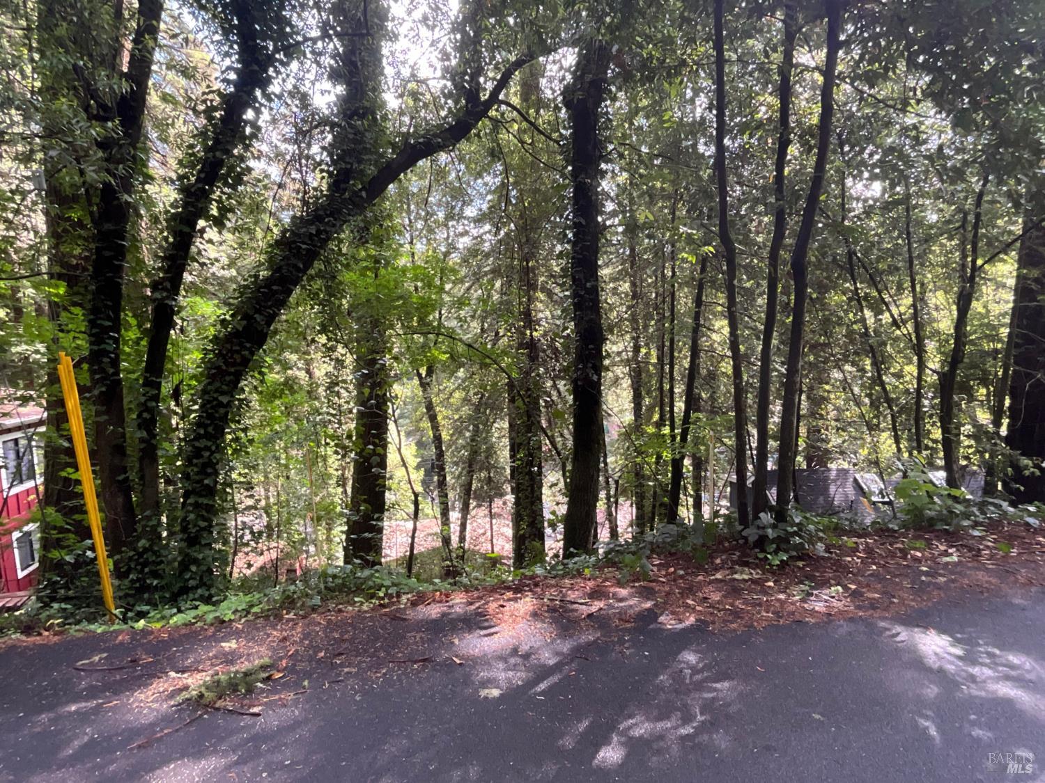 14712 Eagle Nest Lane