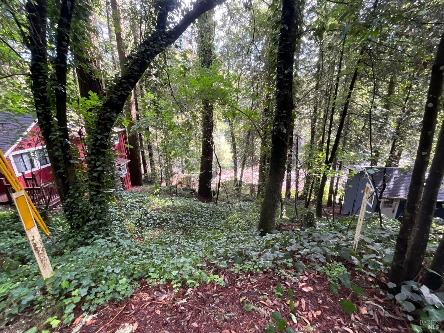 14712 Eagle Nest Lane