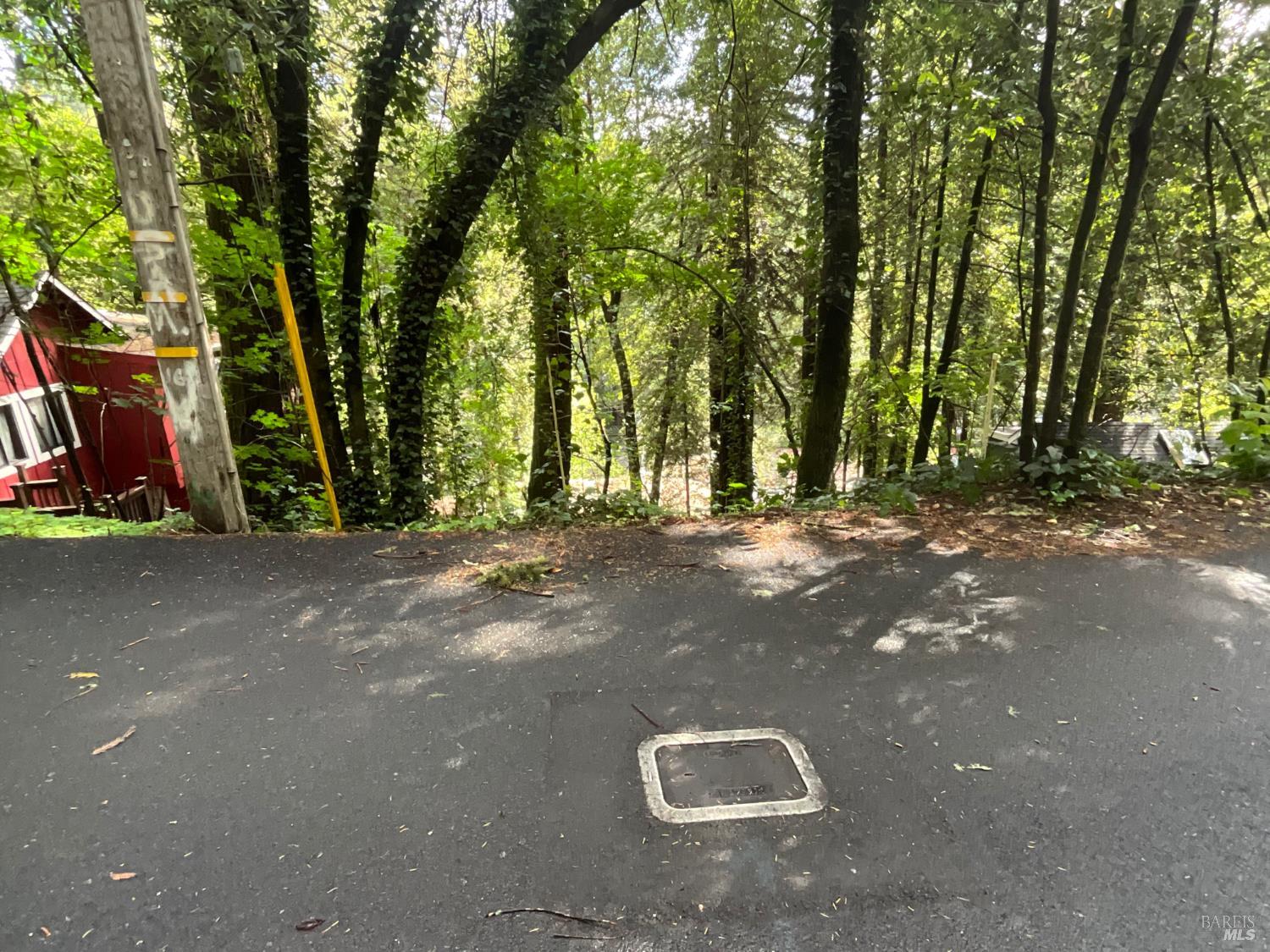 14712 Eagle Nest Lane