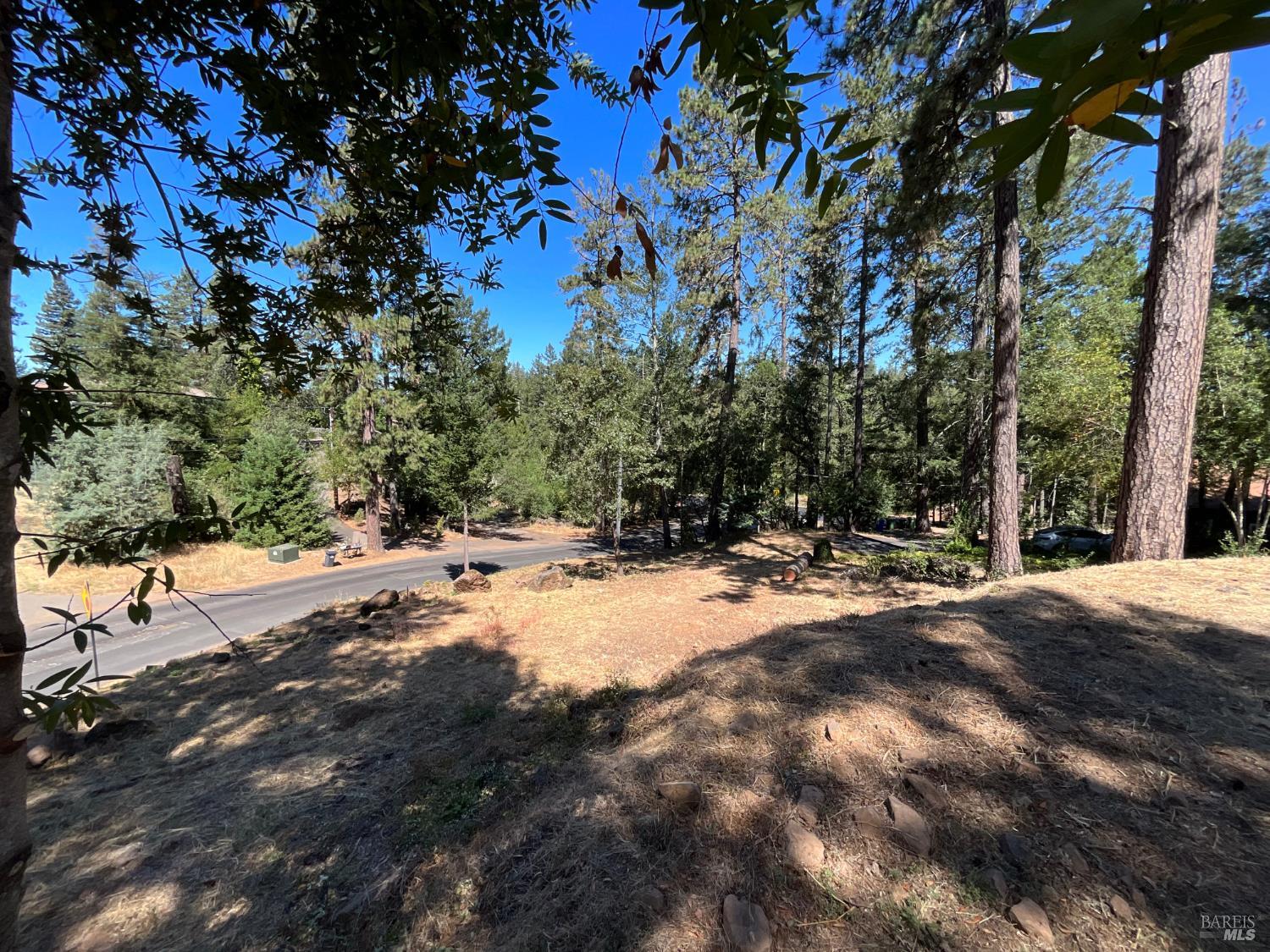 475 Sunset Drive