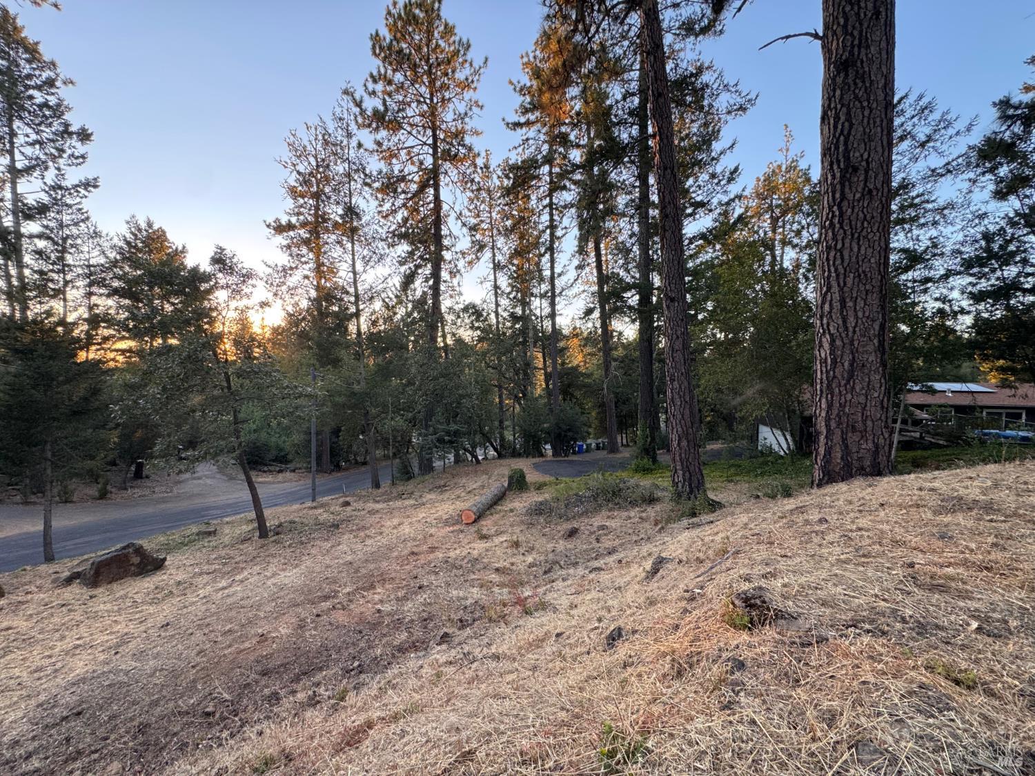 475 Sunset Drive