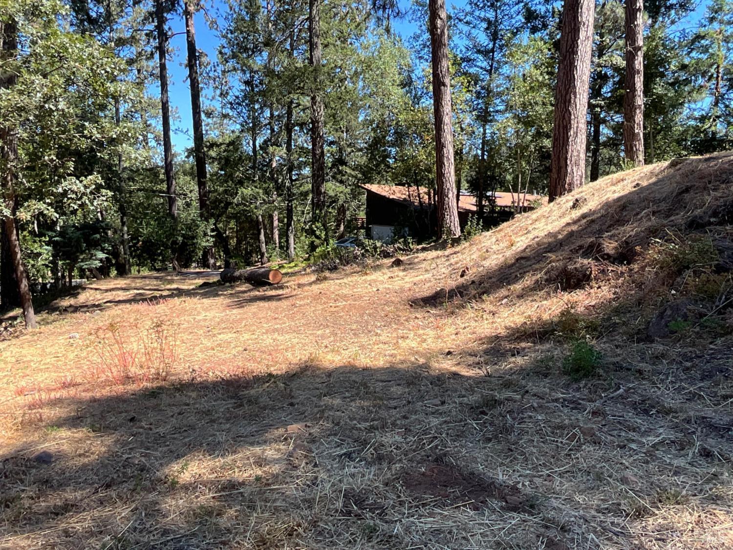 475 Sunset Drive