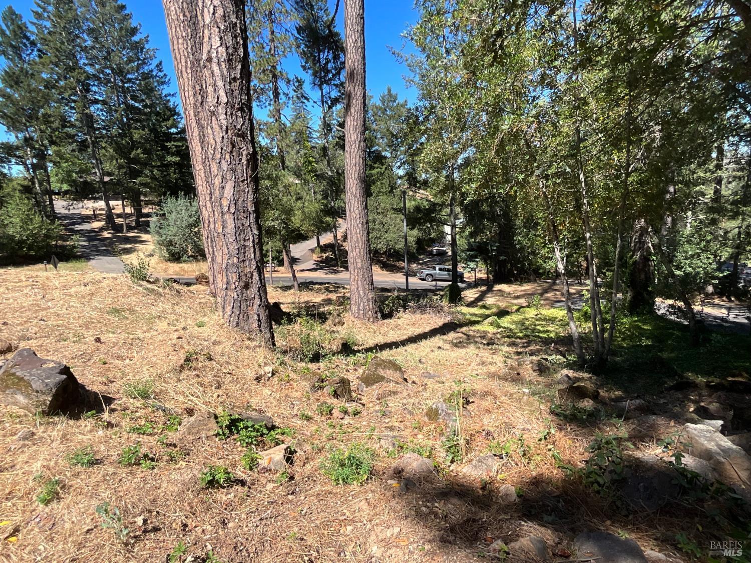 475 Sunset Drive
