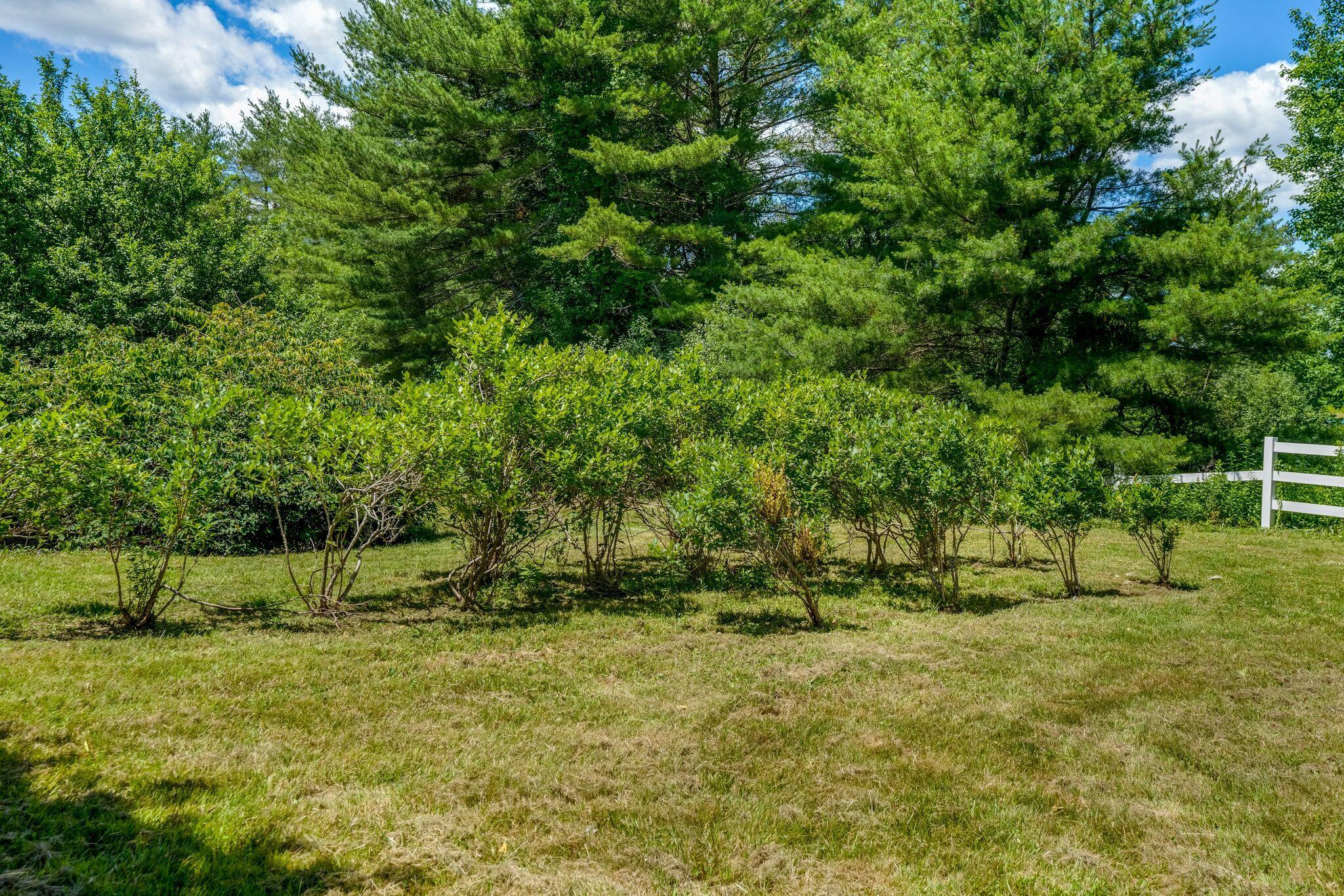 236 Mountfort Road