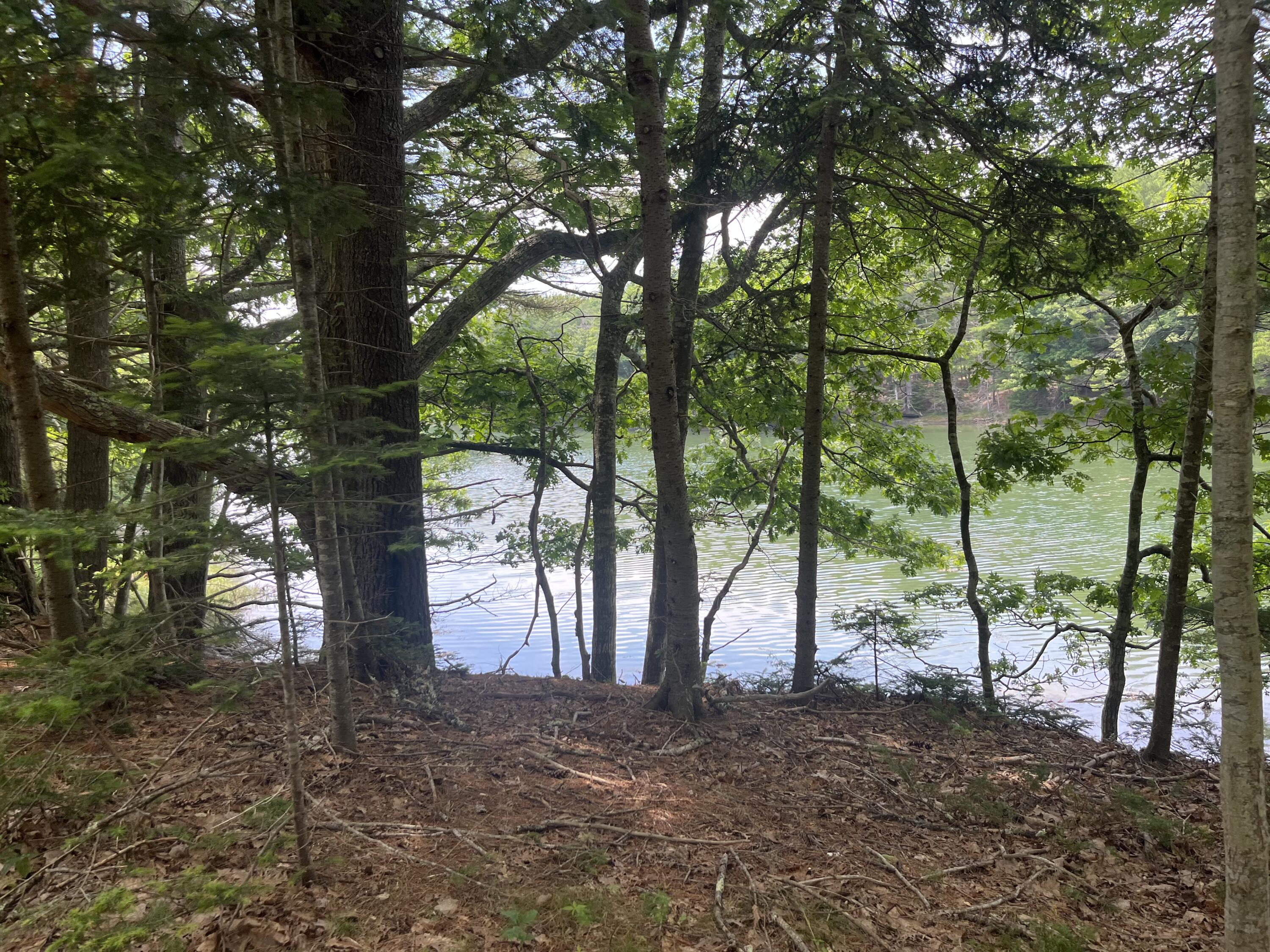 46 Dam Cove Road