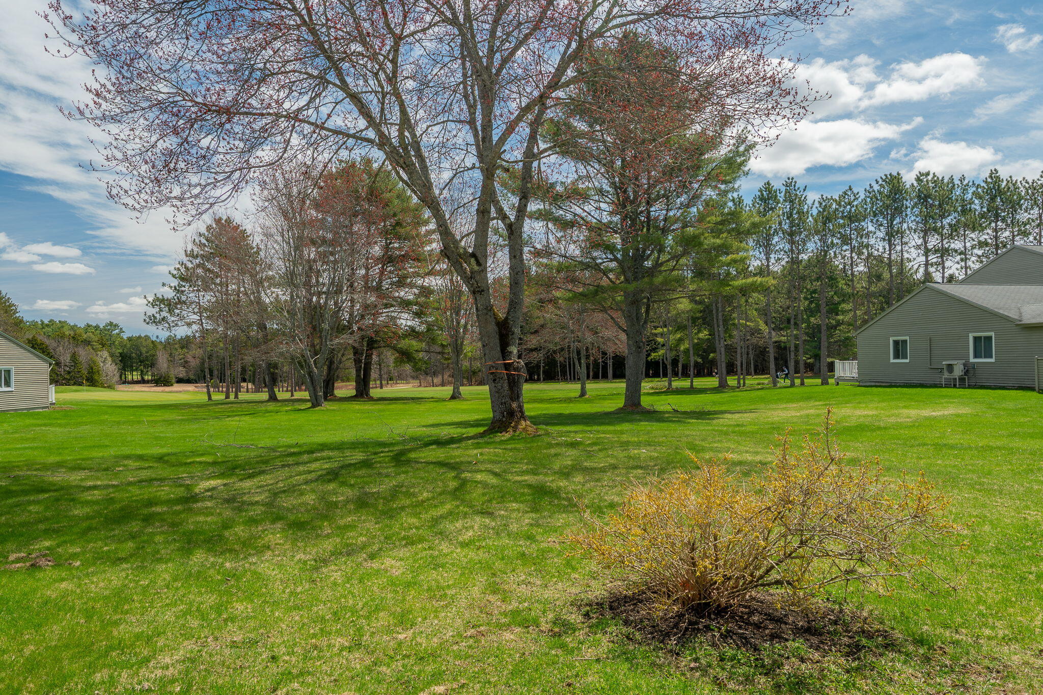 12 Fairway Drive 12