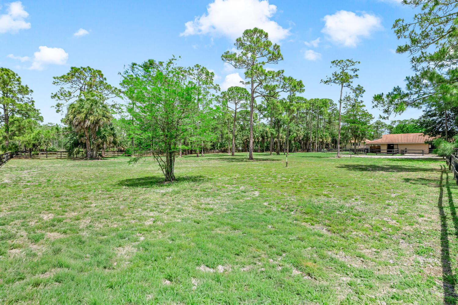 2559 Palm Deer Drive