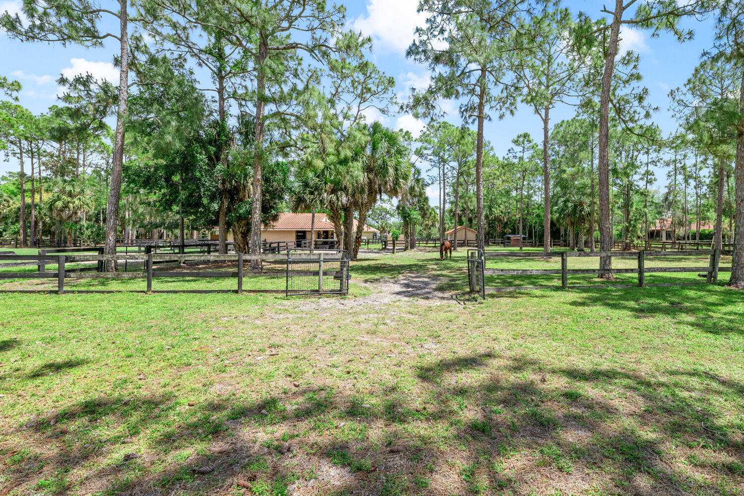 2559 Palm Deer Drive