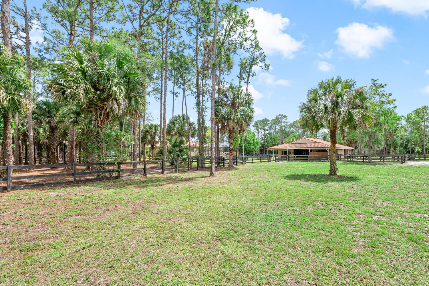 2559 Palm Deer Drive