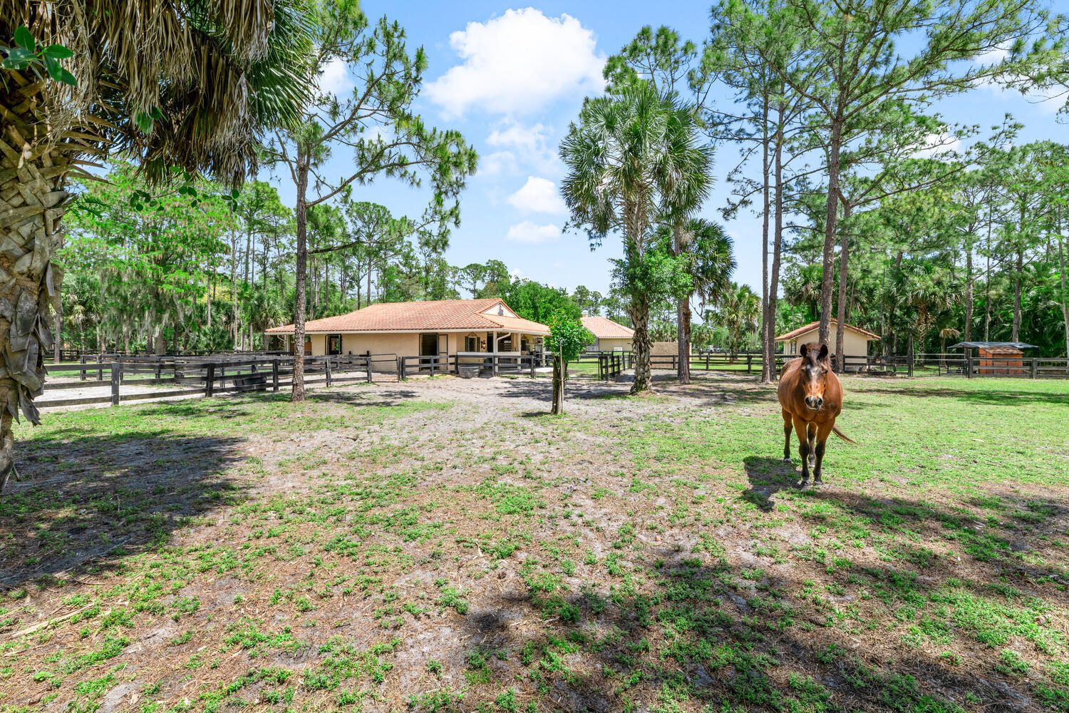 2559 Palm Deer Drive