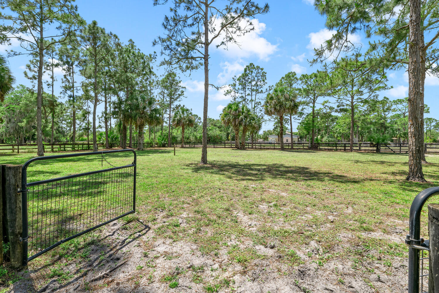 2559 Palm Deer Drive