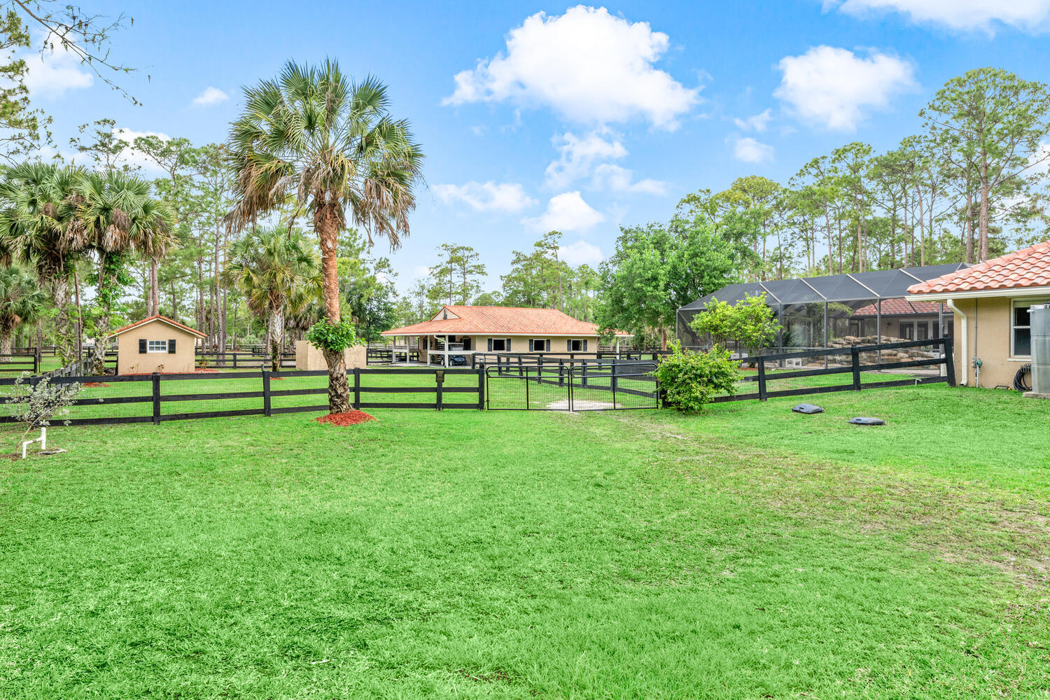 2559 Palm Deer Drive