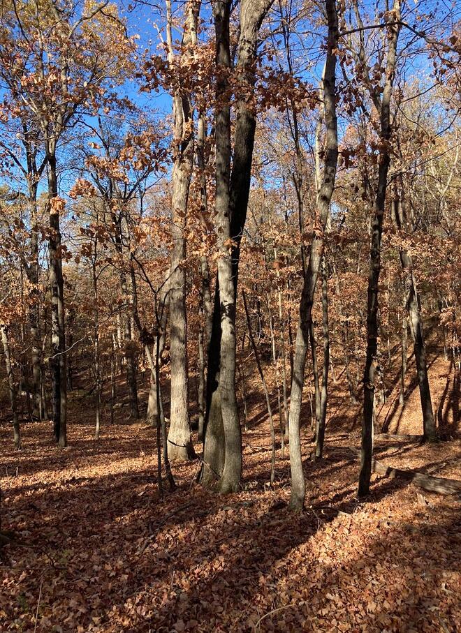 20.35 ACRES E SUGAR GROVE RD