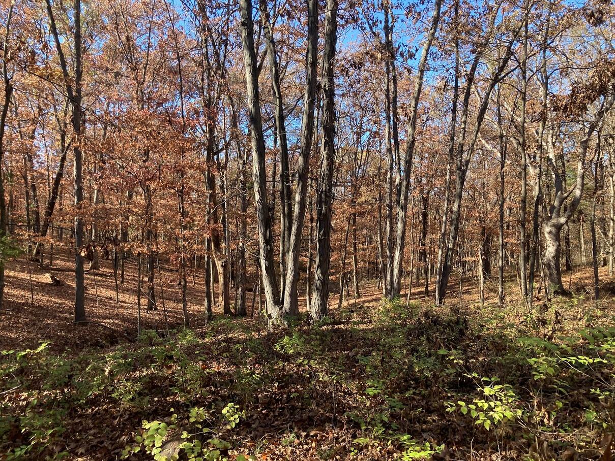 20.35 ACRES E SUGAR GROVE RD