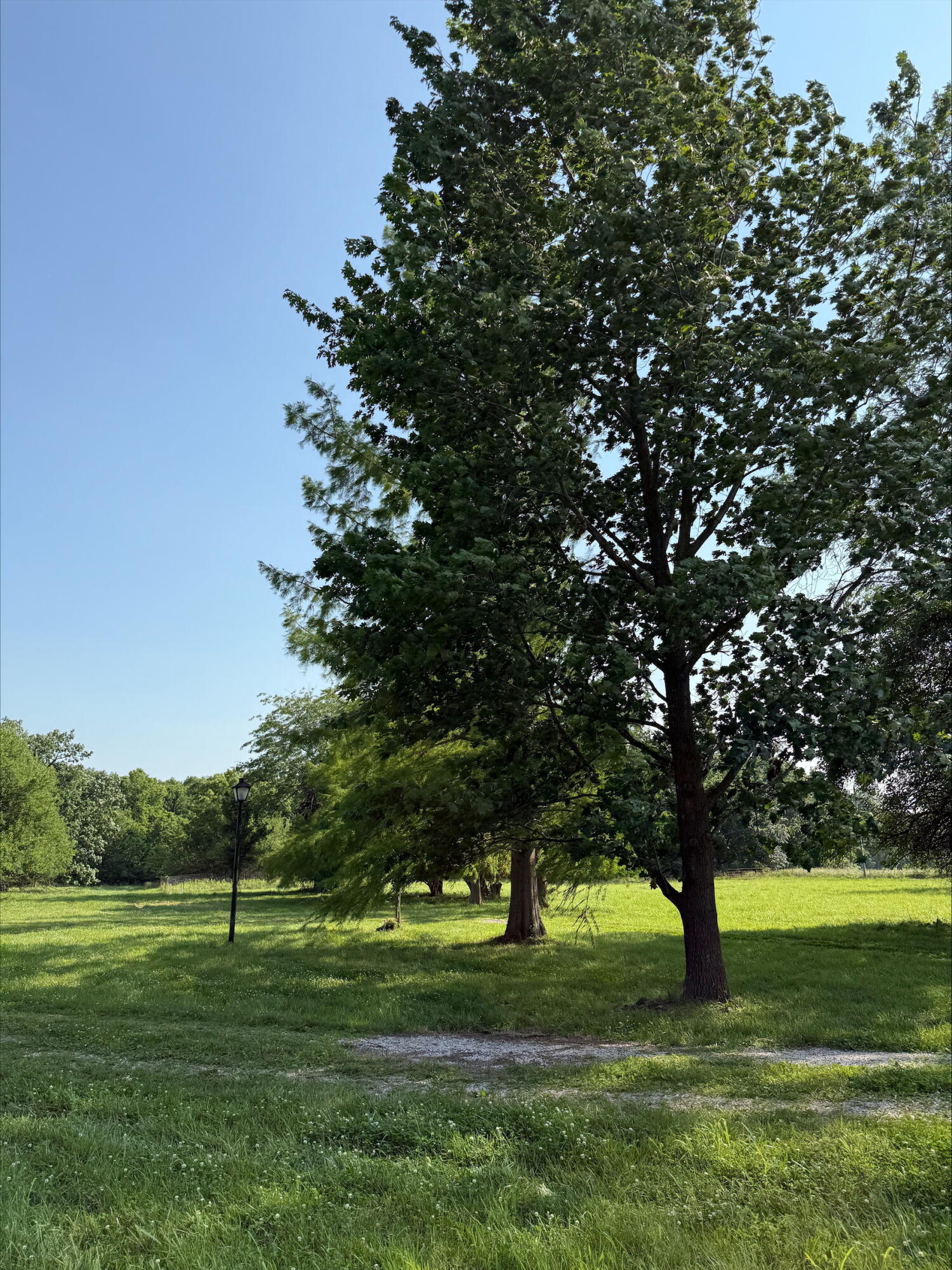 20.35 ACRES E SUGAR GROVE RD