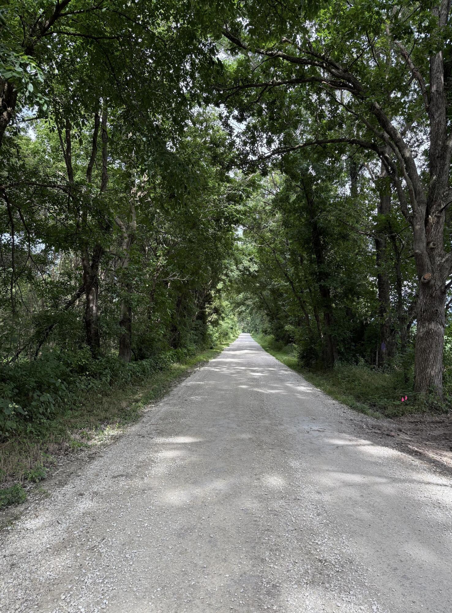 20.35 ACRES E SUGAR GROVE RD