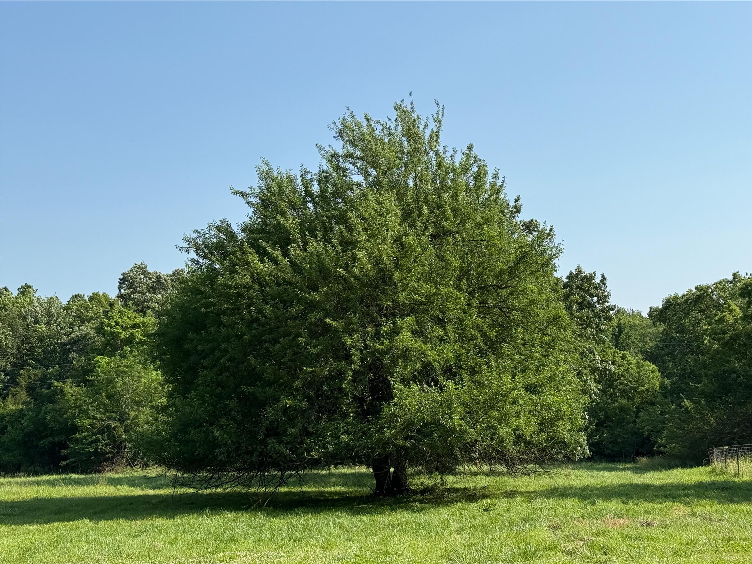 20.35 ACRES E SUGAR GROVE RD