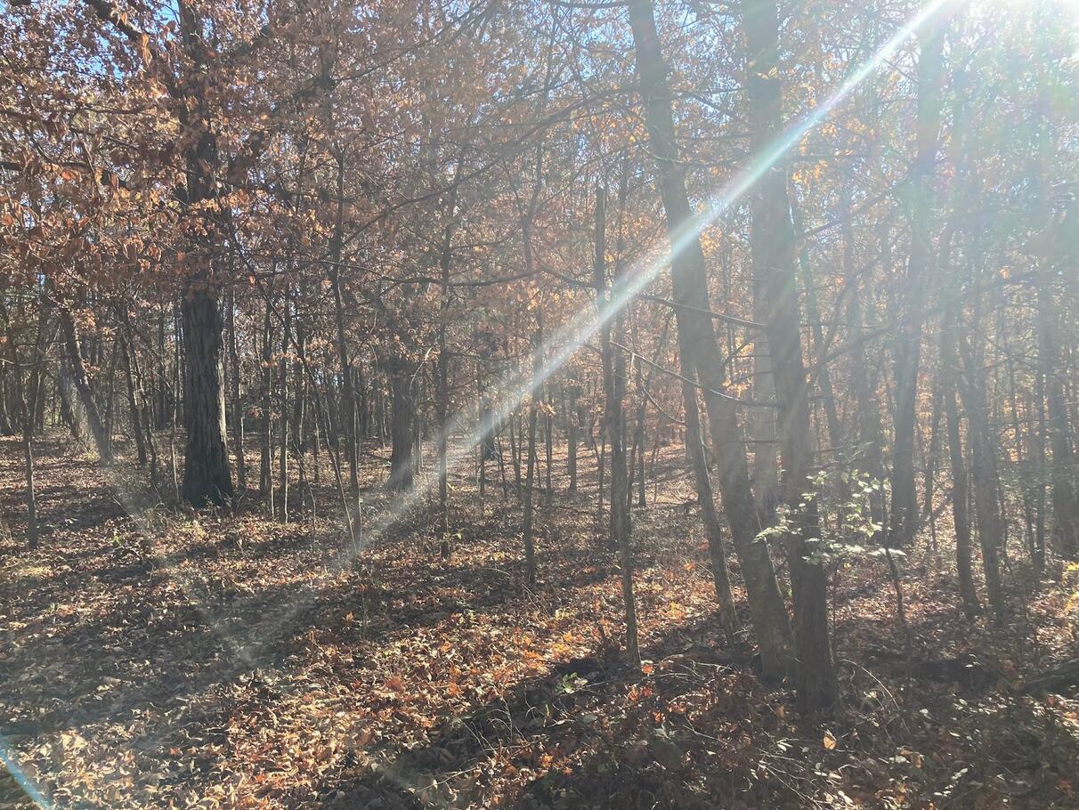 20.35 ACRES E SUGAR GROVE RD