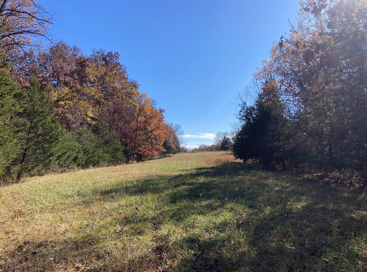 20.35 ACRES E SUGAR GROVE RD
