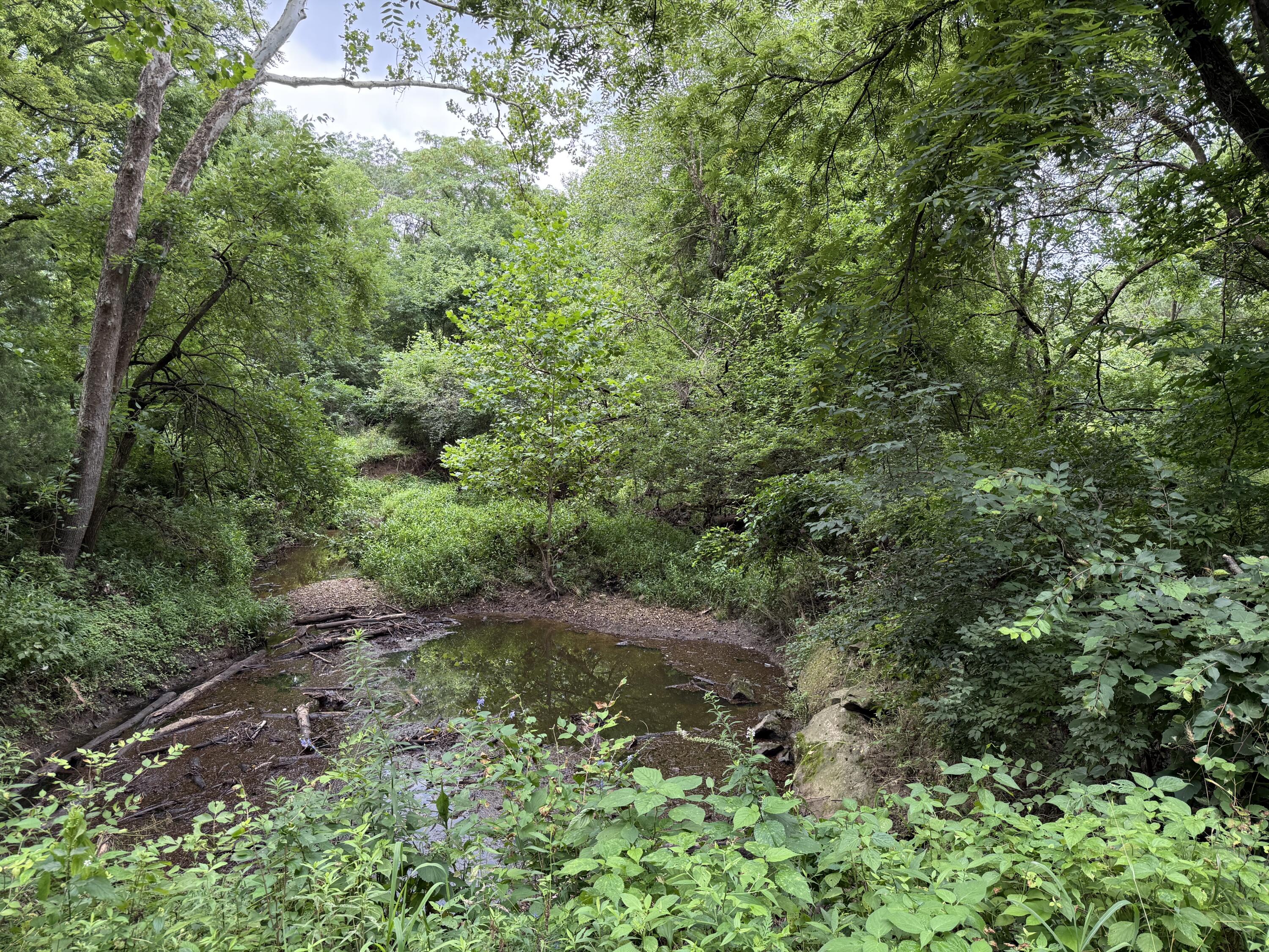 20.35 ACRES E SUGAR GROVE RD