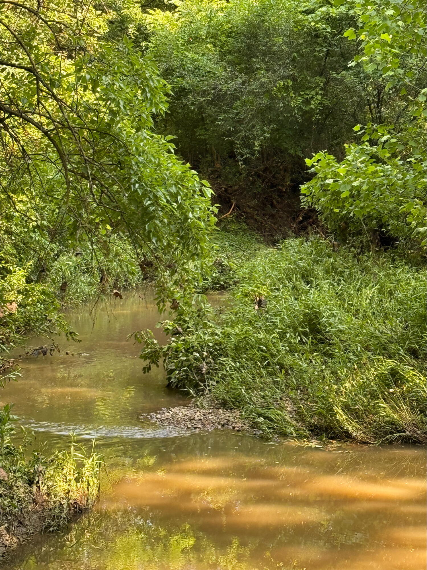 20.35 ACRES E SUGAR GROVE RD