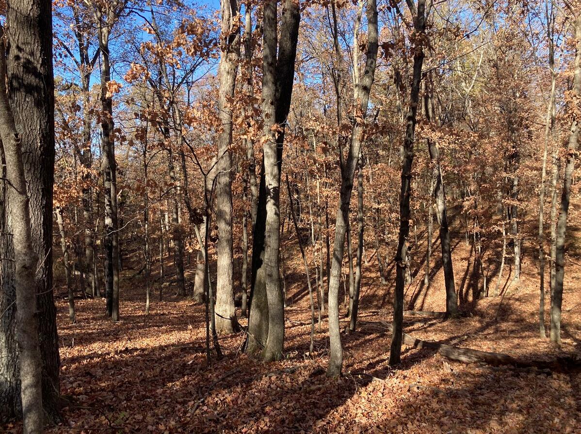 20.35 ACRES E SUGAR GROVE RD