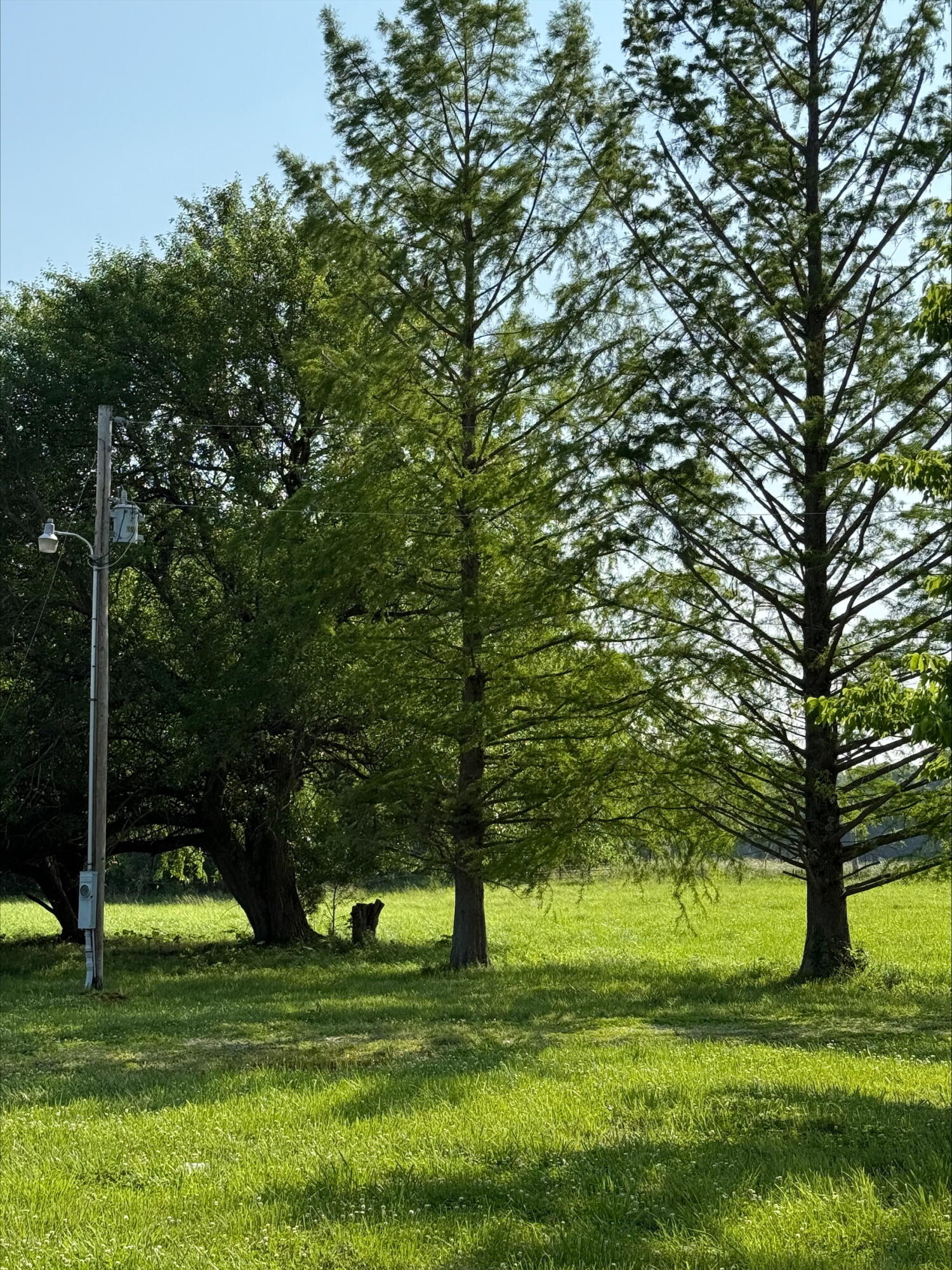 20.35 ACRES E SUGAR GROVE RD