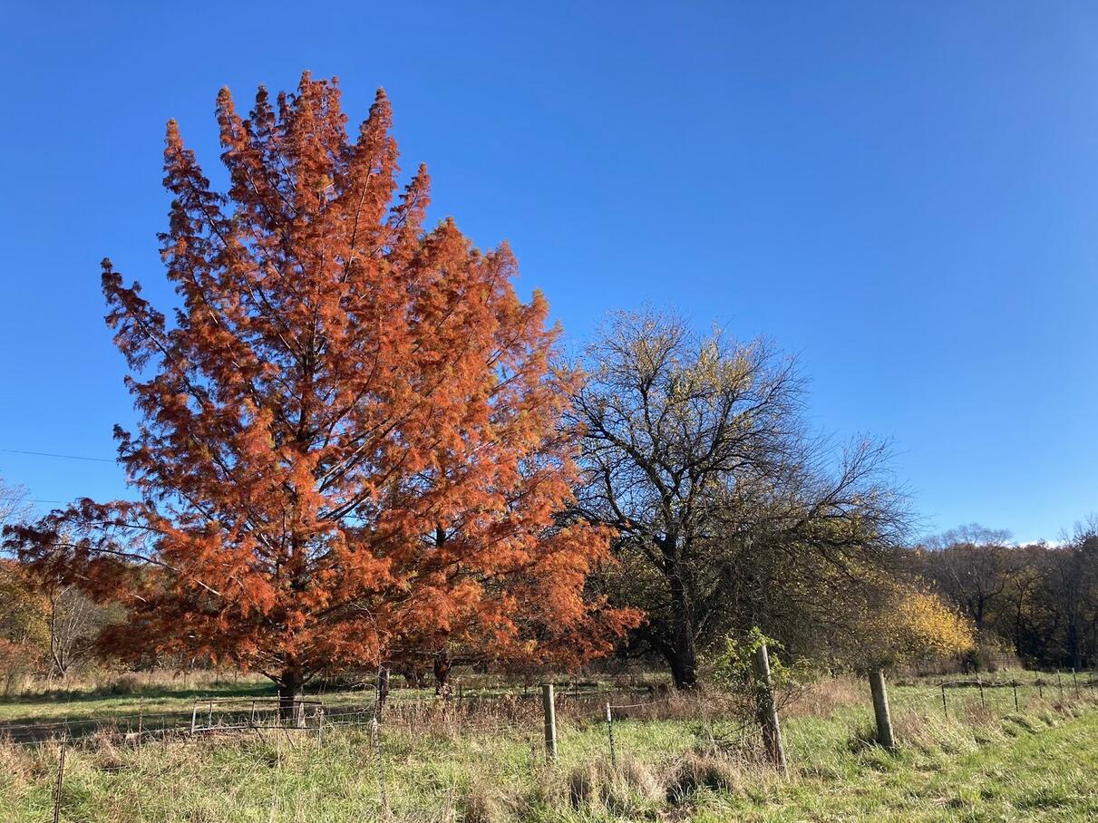 20.35 ACRES E SUGAR GROVE RD