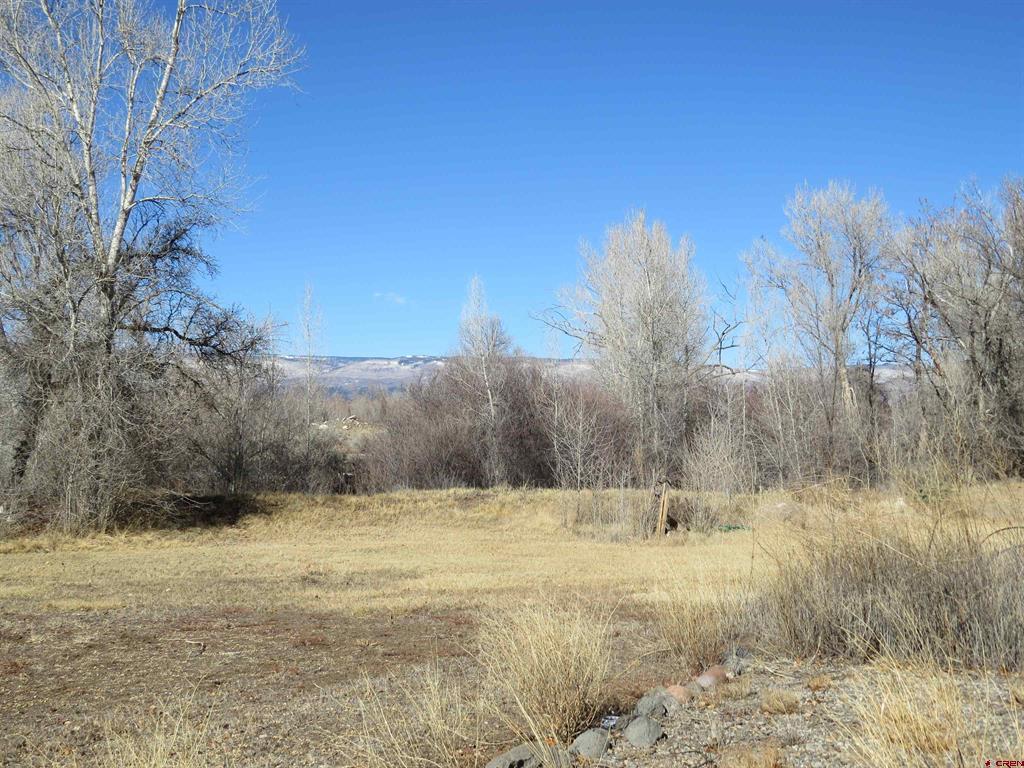 22169 Orchard Grove Road