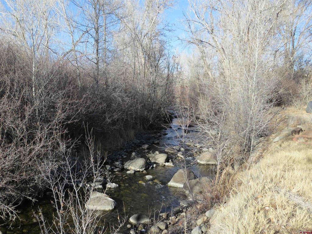 22169 Orchard Grove Road