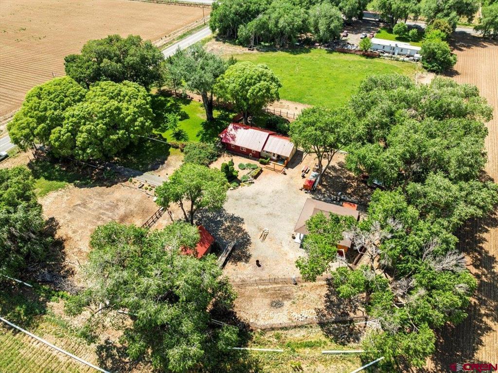 5197 Highway 348