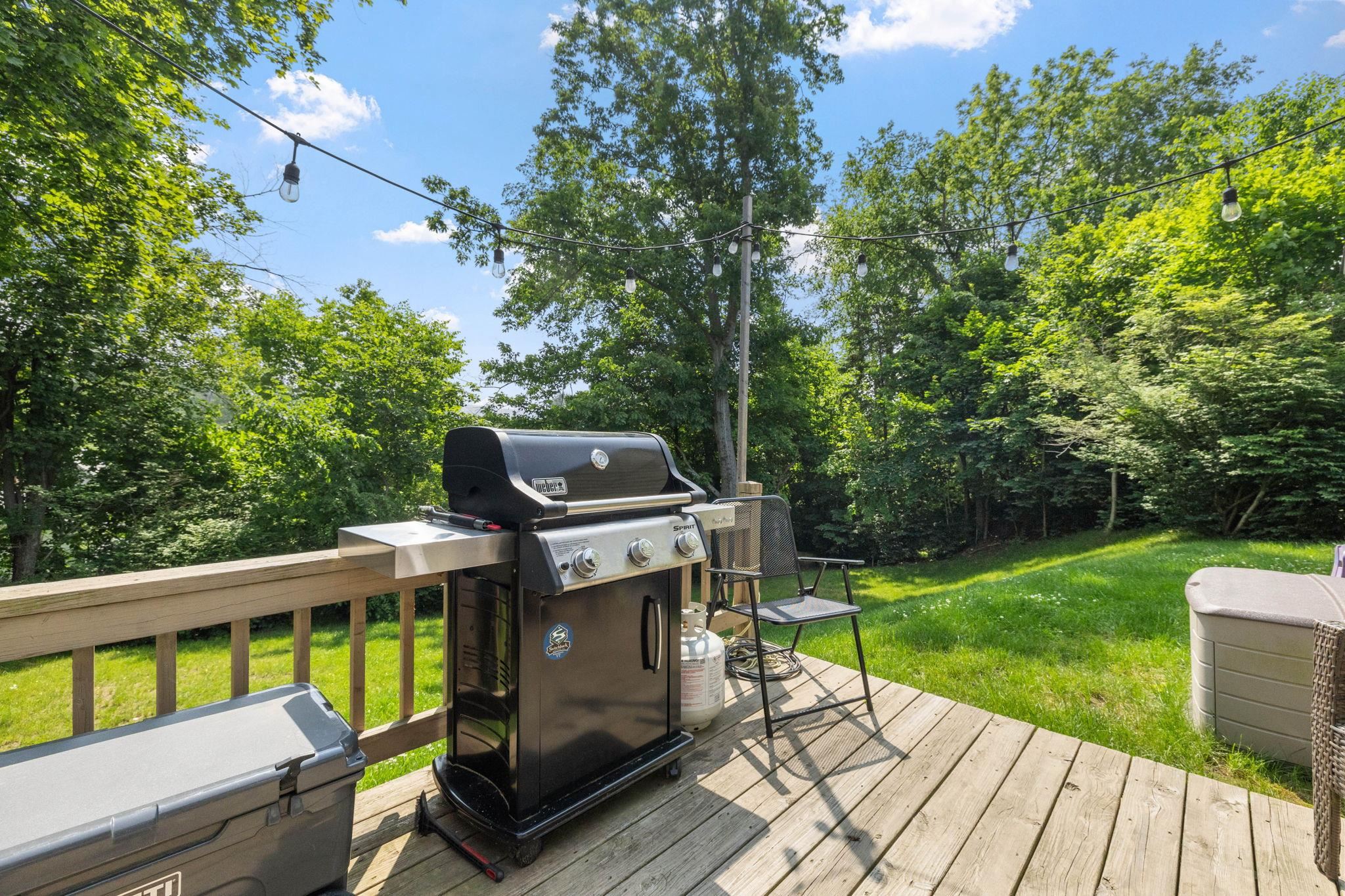 46 East Diane Drive