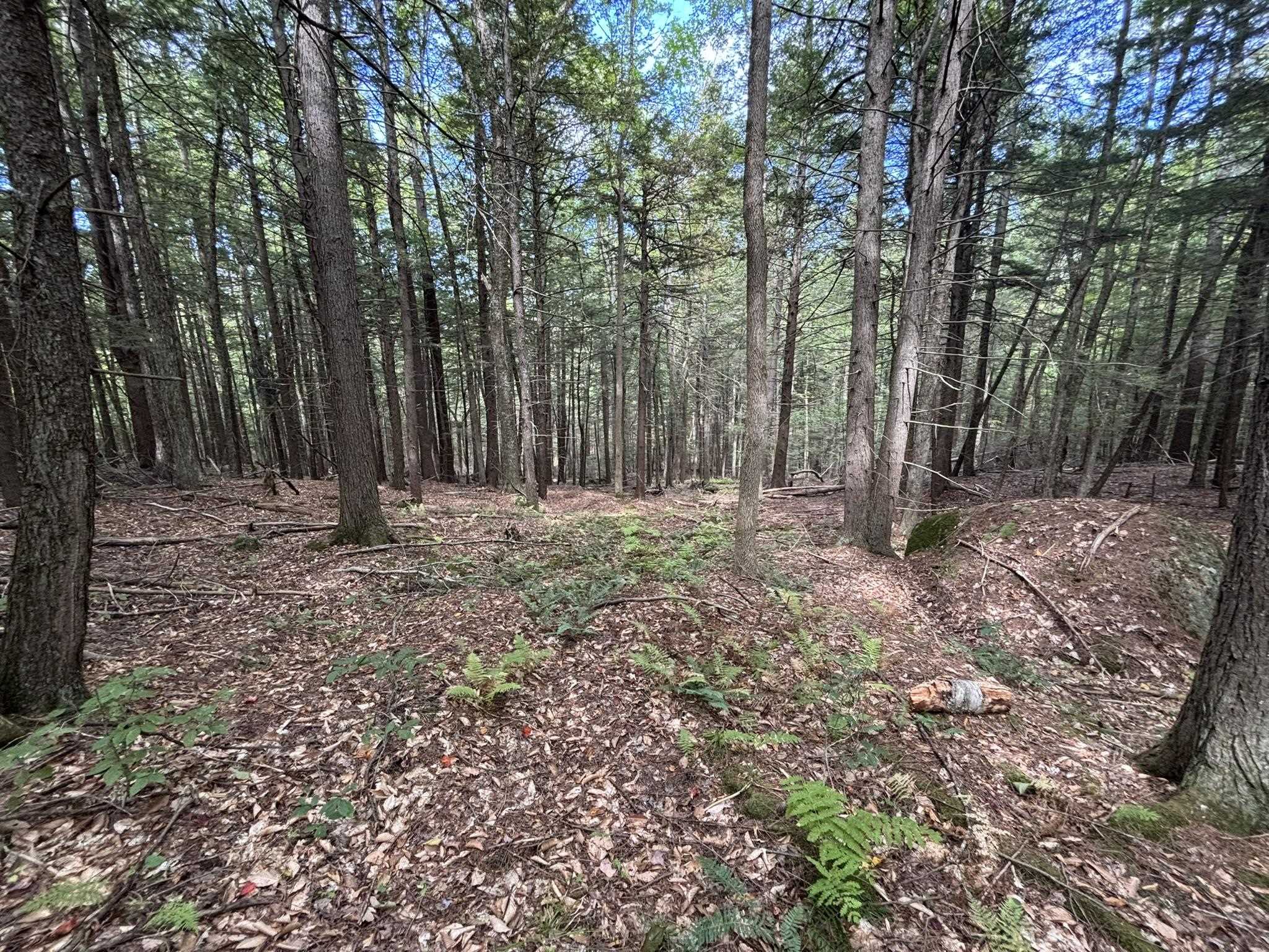 off Wilder Farm Road Unit: R007-002-012