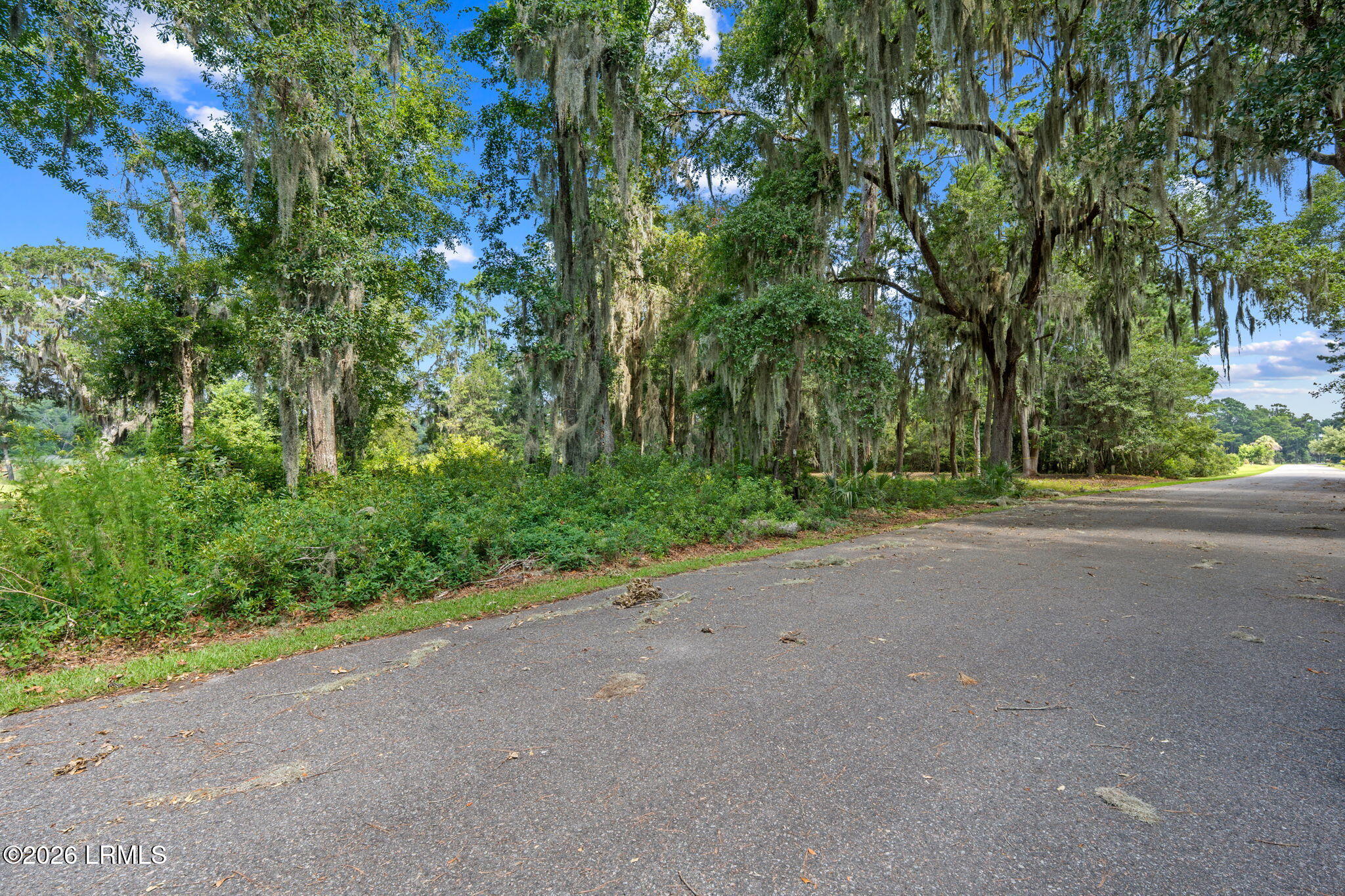 54 Bermuda Inlet Drive, St. Helena Island