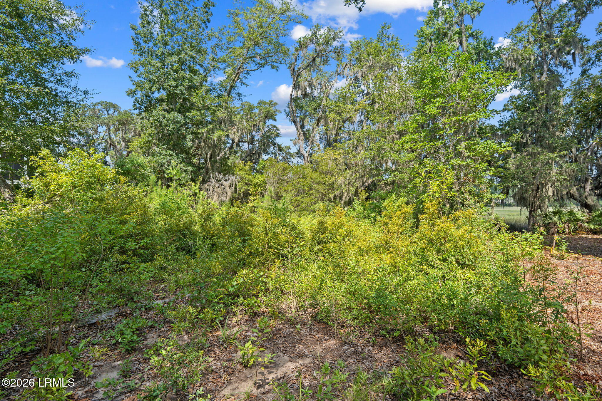 54 Bermuda Inlet Drive, St. Helena Island