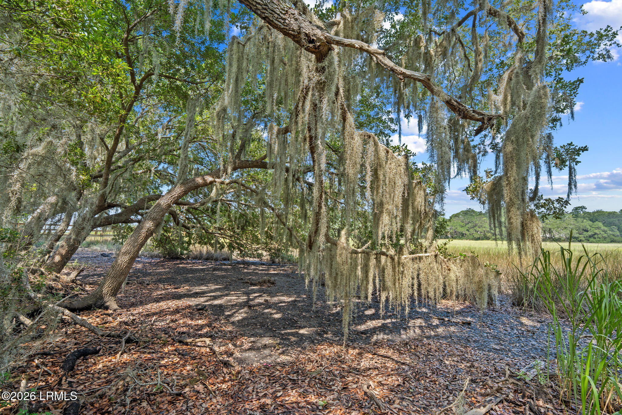 54 Bermuda Inlet Drive, St. Helena Island