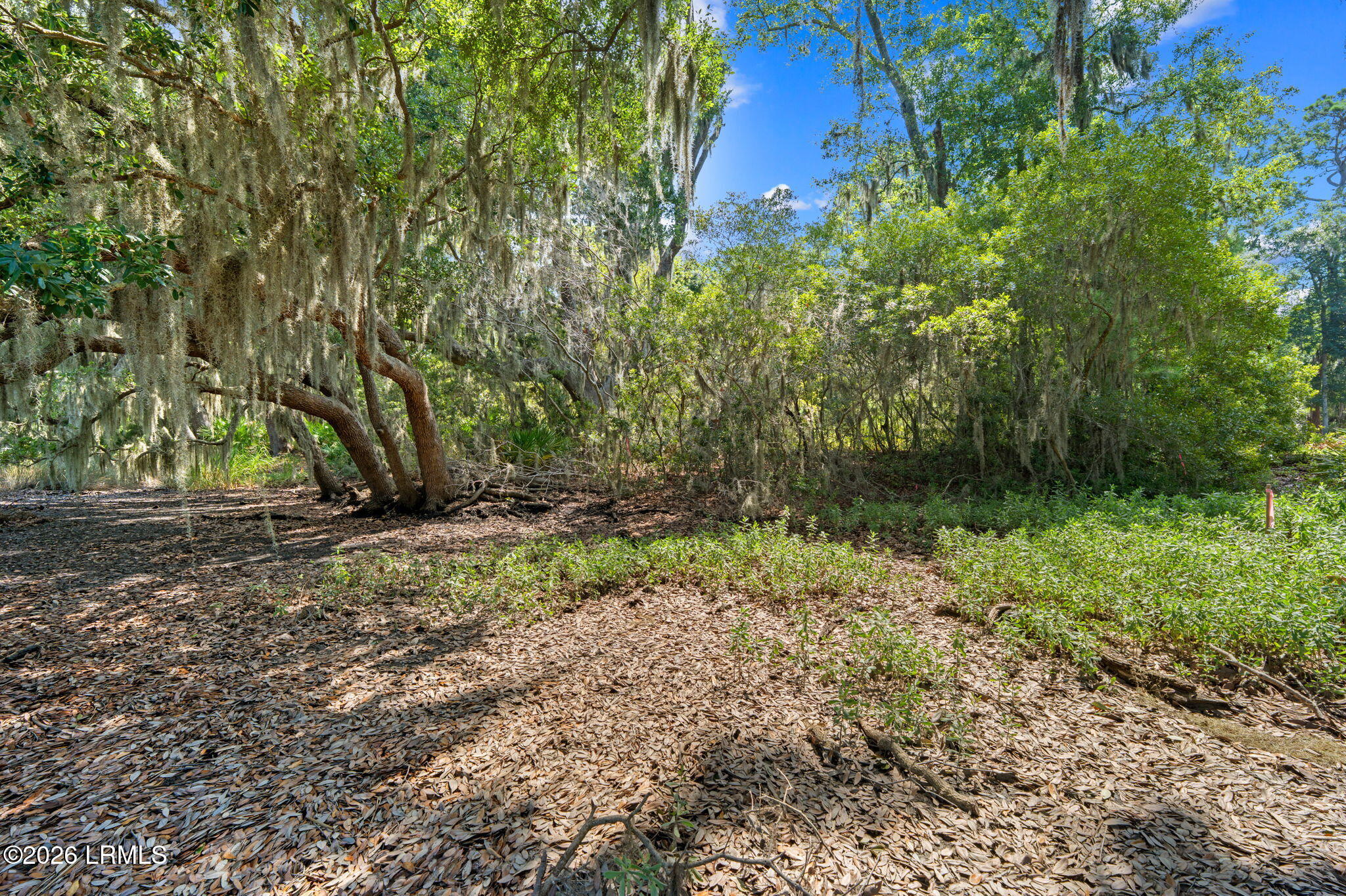 54 Bermuda Inlet Drive, St. Helena Island