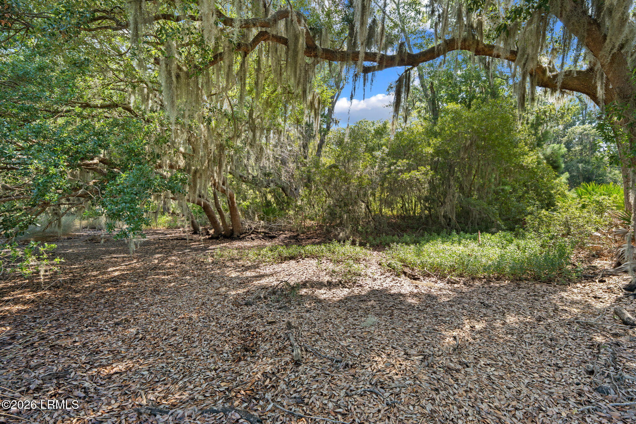 54 Bermuda Inlet Drive, St. Helena Island