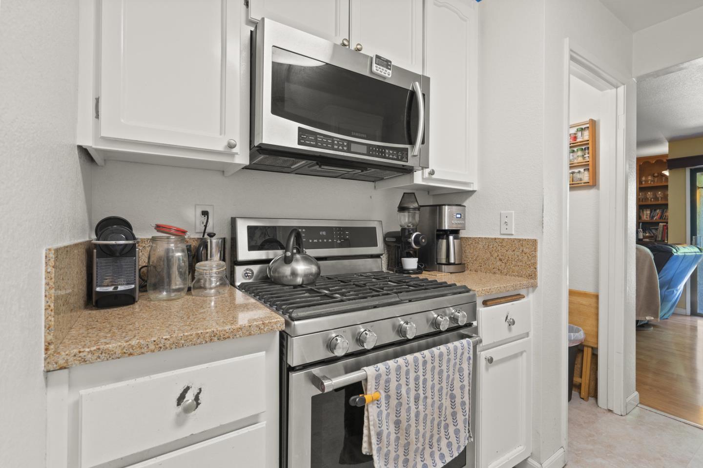 2012 Fan Palm CT