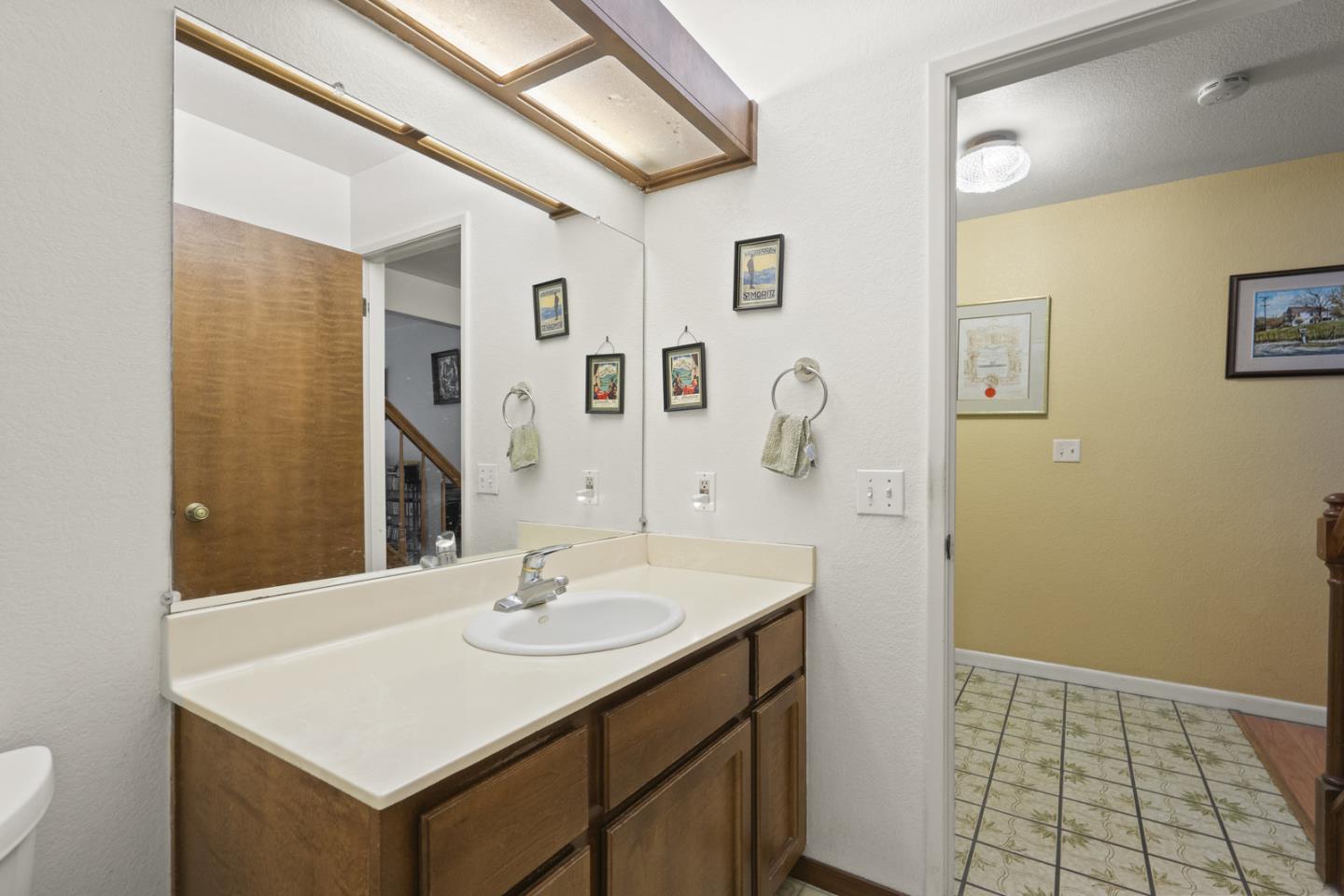 2012 Fan Palm CT