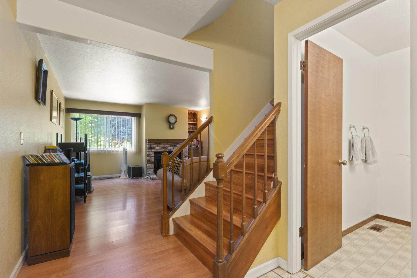 2012 Fan Palm CT
