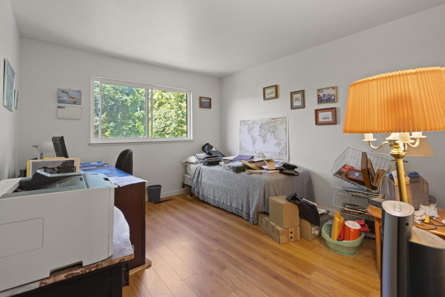 2012 Fan Palm CT