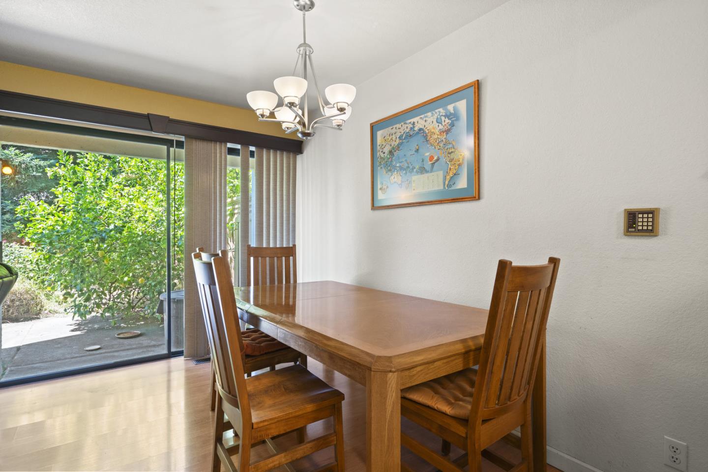 2012 Fan Palm CT