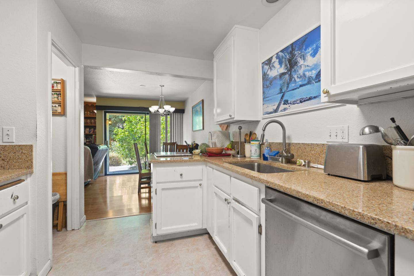 2012 Fan Palm CT