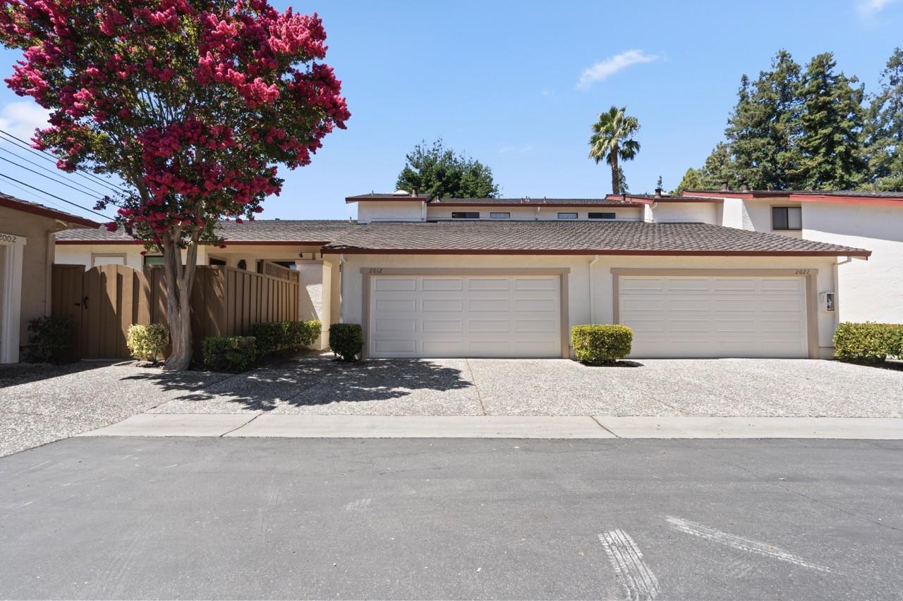 2012 Fan Palm CT